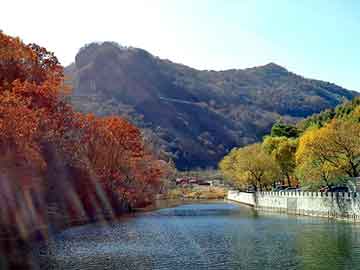 正新澳门二四六天天彩，乡村小子闯都市